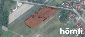 Działka 9 800,00 m², Kazimierz Dolny, Jeziorszczyzna, Sprzedaż