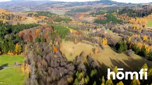 Działka 3 728,00 m², Kocioł, Sprzedaż