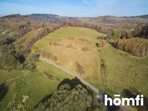 Działka 2 119,00 m², Walim, Kolonia Górna, Sprzedaż