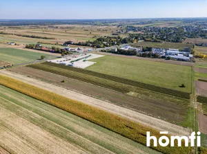 Działka 11 805,00 m², Łany, Sprzedaż