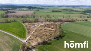 Działka 43 377,00 m², Mikołajowice, Sprzedaż
