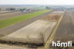 Działka 5 586,00 m², Plewniak, Sprzedaż