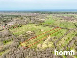 Działka 23 500,00 m², Sasino, Sprzedaż