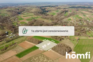 Działka 5 500,00 m², Szkodna, Sprzedaż