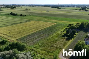 Działka 5 900,00 m², Szopinek, Sprzedaż