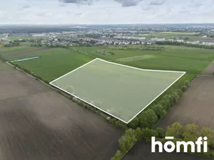 Działka 56 000,00 m², Zalasewo, Sprzedaż