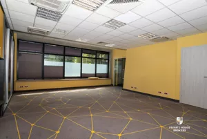Lokal użytkowy 293,00 m², Kraków, Dębniki, Ruczaj, Lubostroń, Wynajem