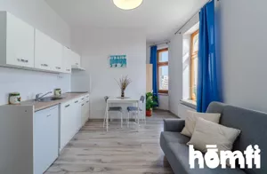 Mieszkanie jednopokojowe 19,00 m², Katowice, Koszutka, Francuska, Wynajem