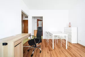 Mieszkanie jednopokojowe 30,80 m², Poznań, Stare Miasto, Księcia Mieszka I, Wynajem