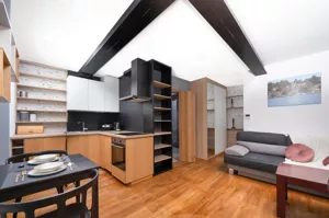 Mieszkanie jednopokojowe 25,00 m², Kraków, Swoszowice, Opatkowice, Leona Petrażyckiego, Wynajem