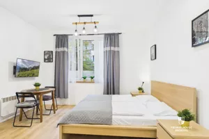 Mieszkanie jednopokojowe 24,50 m², Kraków, Stare Miasto, Kleparz, Oskara Kolberga, Wynajem