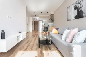 Mieszkanie dwupokojowe 43,00 m², Kraków, Dębniki, Ruczaj, Jana Kantego Federowicza, Wynajem