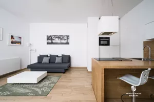 Mieszkanie dwupokojowe 49,00 m², Kraków, Stare Miasto, Rakowicka, Wynajem