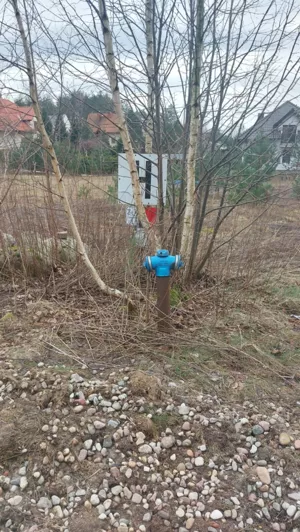 Działka granicząca z lasem w Zacisznym Zalesiu Gowino
