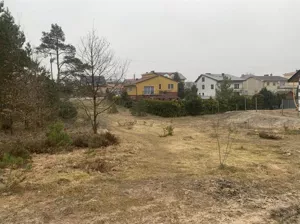 Działka granicząca z lasem