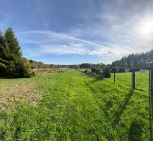 Sasino działka rolna 692m, nad morzem w otulinie lasu