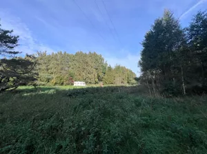 Sasino nad morzem - działka 862m2,rola, w otulinie lasu