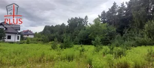 Działka 2 163,00 m², Gowino, Kaczmarskiego, Sprzedaż