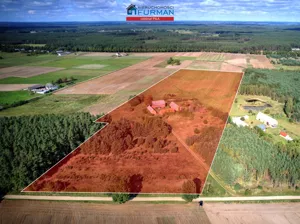 Dom 300,00 m², Czarnków, Sprzedaż