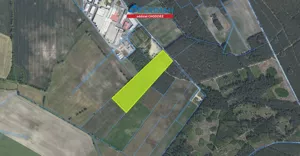 Działka 52 323,00 m², Budzyń, Sprzedaż