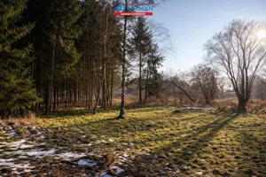 Działka 3 363,00 m², Krzyż Wielkopolski, Sprzedaż