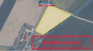 Działka 7 014,00 m², Margonin, Sprzedaż
