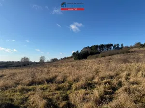 Działka 7 539,00 m², Miasteczko Krajeńskie, Sprzedaż