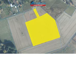 Działka 11 468,00 m², Ryczywół, Sprzedaż