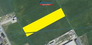 Działka 8 300,00 m², Ryczywół, Sprzedaż
