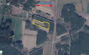 Działka 11 100,00 m², Skoki, Sprzedaż