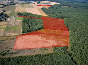 Działka 75 500,00 m², Trzcianka, Sprzedaż