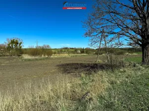 Działka 6 400,00 m², Trzcianka, Sprzedaż