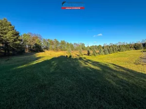 Działka 5 272,00 m², Trzcianka, Sprzedaż