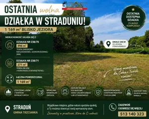 Działka 1 169,00 m², Trzcianka, Sprzedaż
