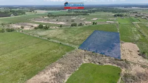 Działka 23 800,00 m², Trzcianka, Sprzedaż