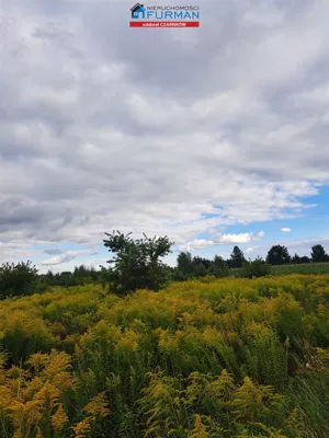 Działka 3 231,00 m², Ujście, Sprzedaż