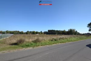 Działka 4 981,00 m², Wągrowiec, Sprzedaż