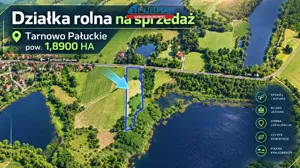 Działka 18 900,00 m², Wągrowiec, Sprzedaż