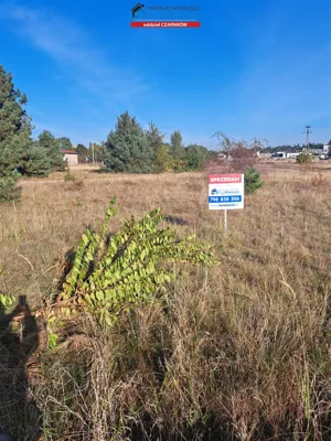 Działka 2 650,00 m², Wieleń, Sprzedaż