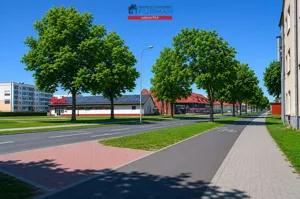 Lokal użytkowy 276,47 m², Piła, Sprzedaż