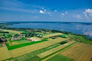 Działka 9 900,00 m², Zaspy, Sprzedaż