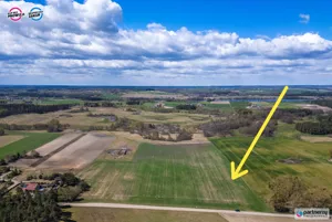 Działka 11 031,00 m², Boroszewo, Sprzedaż