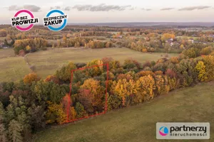 Działka 2 700,00 m², Buszkowy, Sprzedaż
