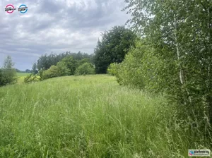 Działka 4 000,00 m², Goręczyno, Dąbrowa, Sprzedaż