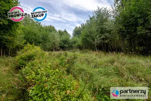 Działka 10 599,00 m², Łężyce, Dębowa, Sprzedaż