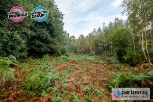 Działka 1 500,00 m², Domatowo, Sprzedaż