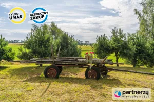 Działka 191 767,00 m², Dziemiany, Sprzedaż