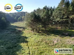 Działka 4 353,00 m², Gotelp, Sprzedaż