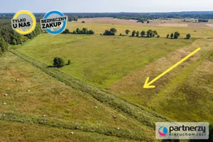 Działka 3 598,00 m², Łebieniec, Sprzedaż