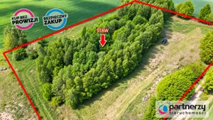 Działka 9 110,00 m², Liniewo, Sprzedaż